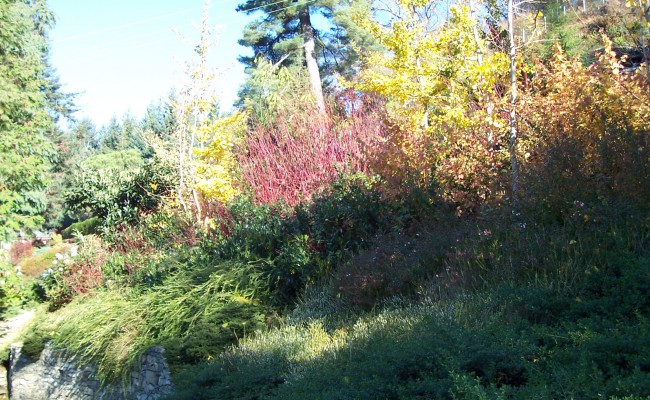 02_Giardino lago d’Orta_ autunnale