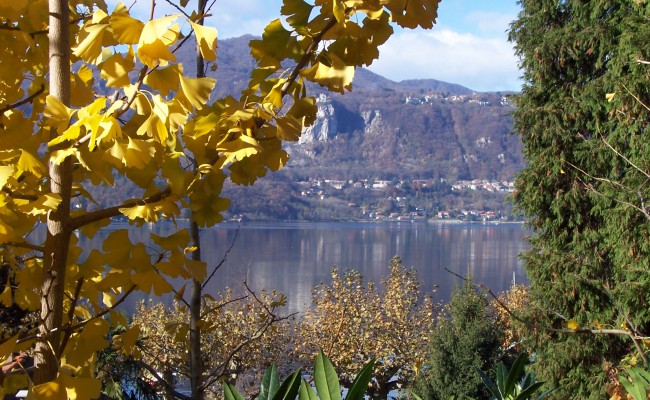 05_Giardino lago d’Orta_ vista dai percorsi