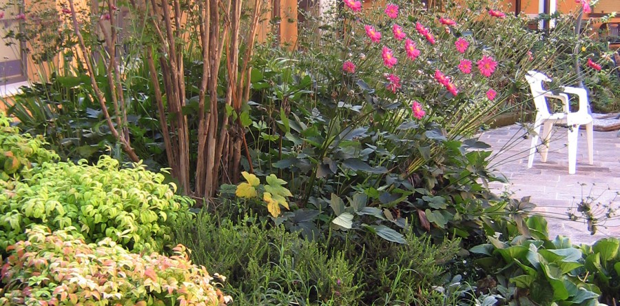 GIARDINO”LA CORTE”