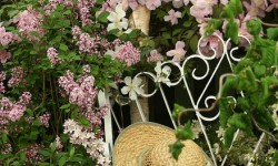 IL GIARDINO DELLE ROSE