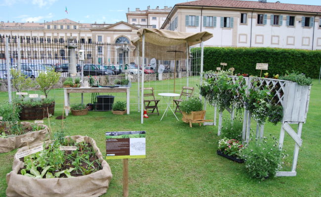 Orto del nonno_ vista d’insieme