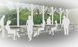 HEALING GARDENS  E DESIGN FOR HEALTH IN  OSPEDALE