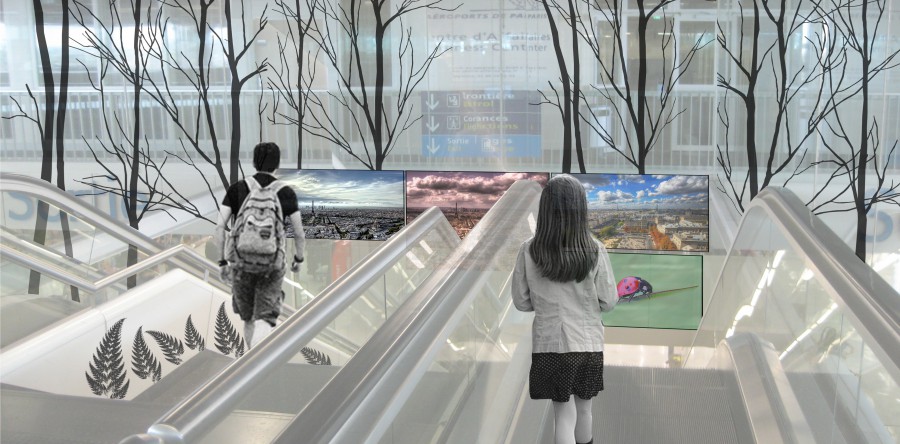 MENAGEMENT MULTI SENSORIEL D’ESPACE METTAND EN SCENE LA NATURE