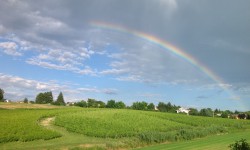 CONCORSO DI IDEE PER IL RECUPERO E LA VALORIZZAZIONE DI AMBITI A VERDE PUBBLICO