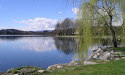 Riqualificazione delle aree del lungo lago del Capoluogo incentrata sulla valorizzazione del Parco della Folaga Allegra