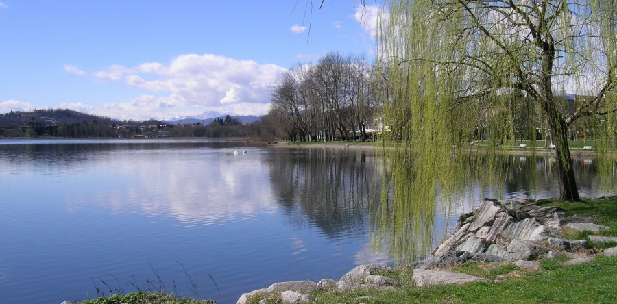 Riqualificazione delle aree del lungo lago del Capoluogo incentrata sulla valorizzazione del Parco della Folaga Allegra