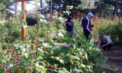 CHE COS’E’ L’ORTOTERAPIA_ PARTE 1