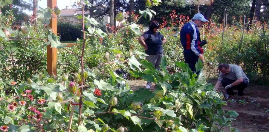 CHE COS’E’ L’ORTOTERAPIA_ PARTE 1