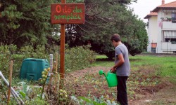 CHE COS’E’ L’ORTOTERAPIA _ PARTE 2