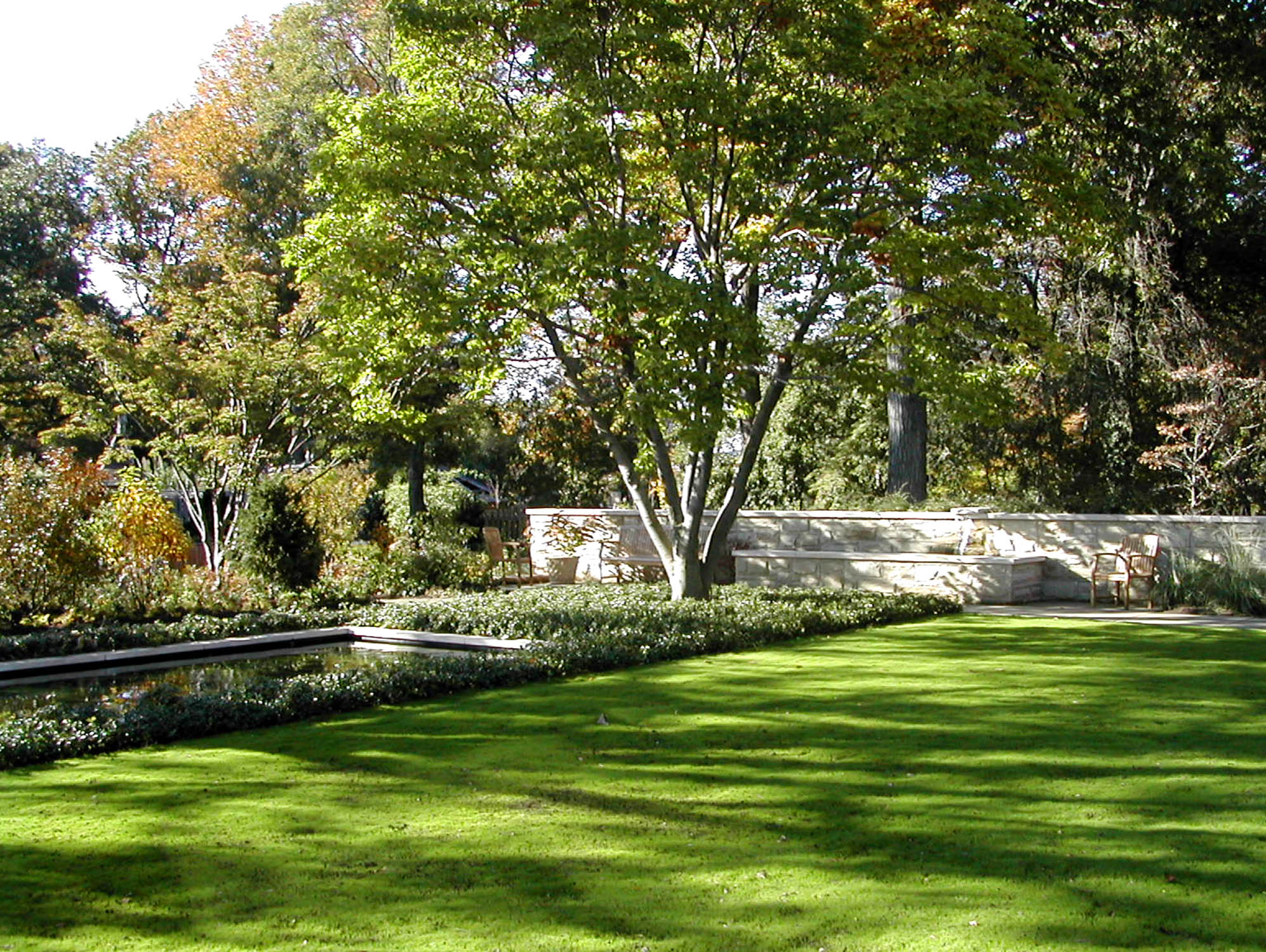 Healing Garden - giardino terapeutico