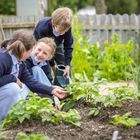 Il National Geographic si interroga: il giardinaggio può offrire la chiave per la felicità, per una vita più sana?