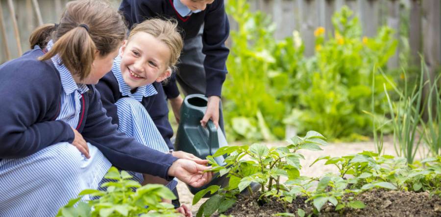 Il National Geographic si interroga: il giardinaggio può offrire la chiave per la felicità, per una vita più sana?