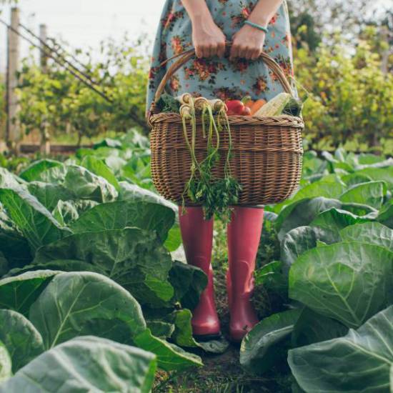 Se sei una donna, ti occupi di verde e vivi immersa nella natura, vivrai più a lungo.