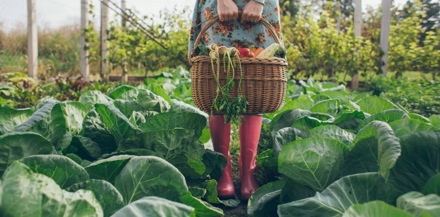 Se sei una donna, ti occupi di verde e vivi immersa nella natura, vivrai più a lungo.