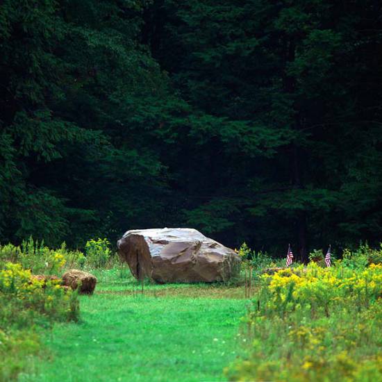 Il conforto della natura al Flight 93 National Memorial