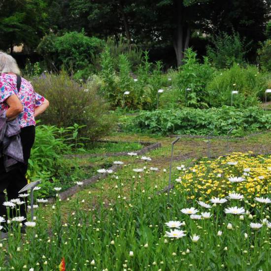 Non chiamateli giardini di terapia se non considerate la malattia