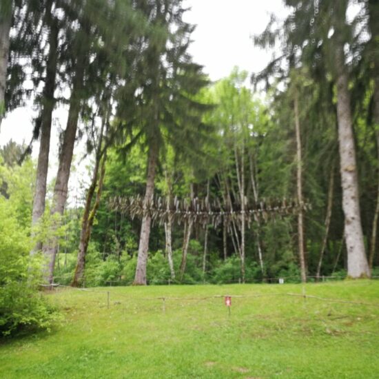 Il medico prescrive 30 minuti al parco per 5 giorni