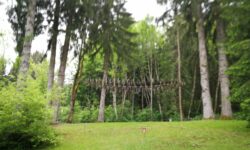 Il medico prescrive 30 minuti al parco per 5 giorni
