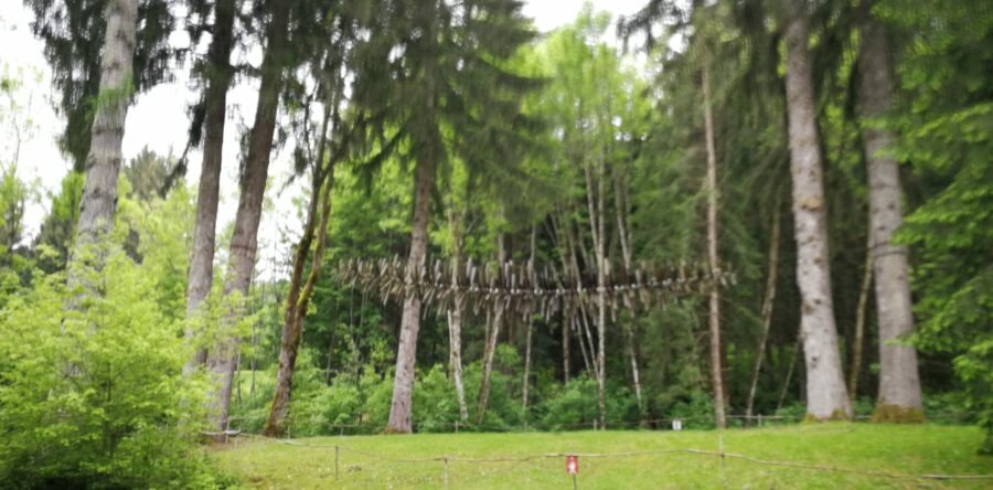 Il medico prescrive 30 minuti al parco per 5 giorni