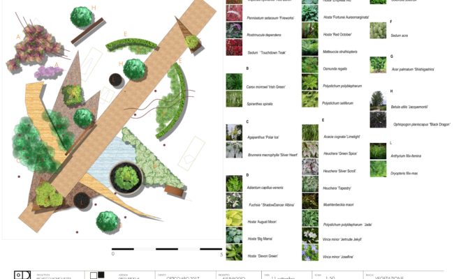 ALLUNAGGIO_ vegetazione_ Orticolario 2017 copia