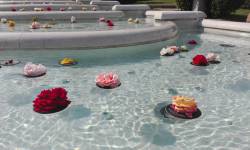 100 ROSE PER 100 PICCOLI FRUTTI