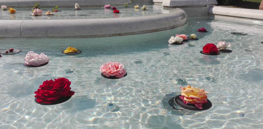 100 ROSE PER 100 PICCOLI FRUTTI