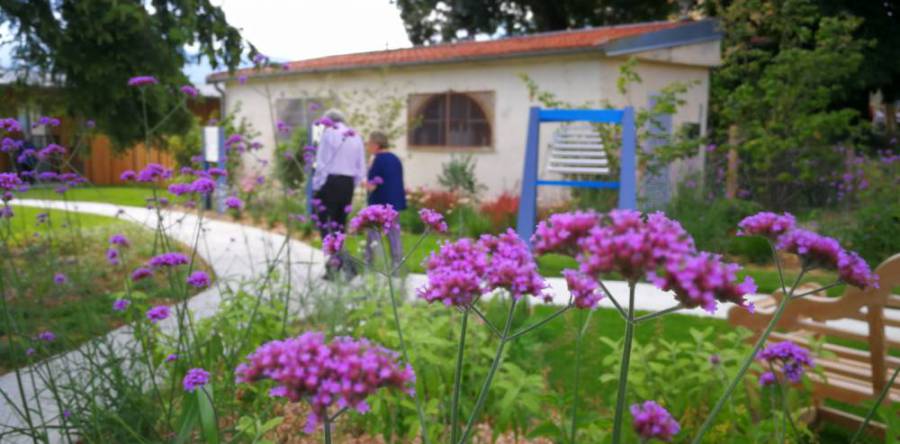 Quali obiettivi curativi di un giardino per malati di Alzheimer?