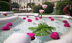 TUTTI I COLORI DEI FIORI