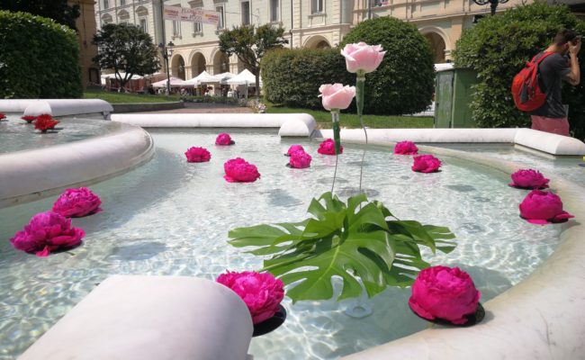 Flowers and Food – Acqui Terme – fontana