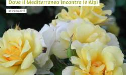 HEALING GARDEN, DA FERRARA AD IVREA ESPERIENZA DI GIARDINI CHE CURANO