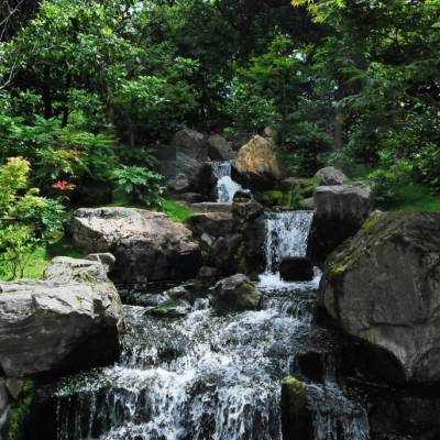 Rigenerare l’attenzione negli ambienti naturali