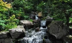 Rigenerare l’attenzione negli ambienti naturali