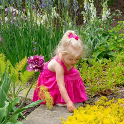 Healing garden: c’è una cura in giardino su Donna Moderna