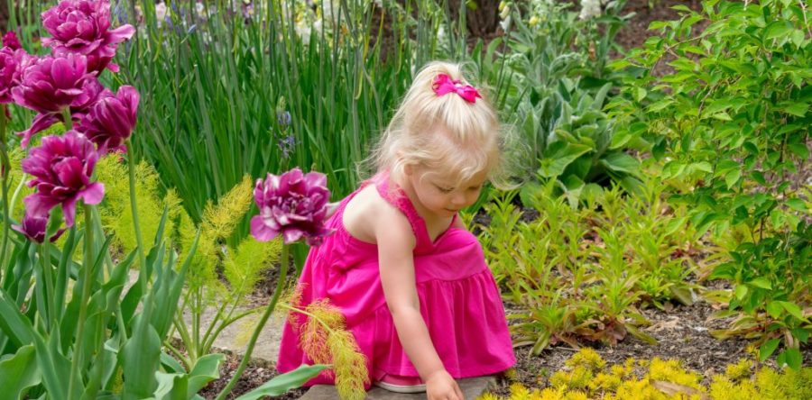 Healing garden: c’è una cura in giardino su Donna Moderna