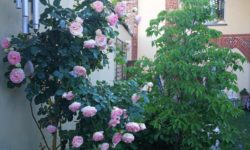 GIARDINO PRIVATO “Bohemienne”