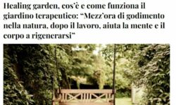 INTERVISTA su Il Fatto Quotidiano: Healing garden, cos’è e come funziona il giardino terapeutico: “Mezz’ora di godimento nella natura, dopo il lavoro, aiuta la mente e il corpo a rigenerarsi”