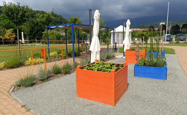 Il giardino ritrovato_ gli orti e la pergola