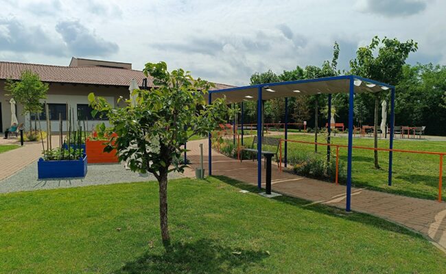 Il giardino ritrovato_ la pergola e gli orti