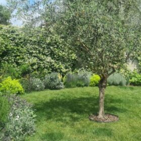 GIARDINO PRIVATO mediterraneo
