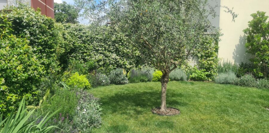 GIARDINO PRIVATO mediterraneo
