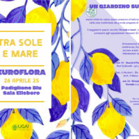 Guarda il paesaggio, crea il giardino